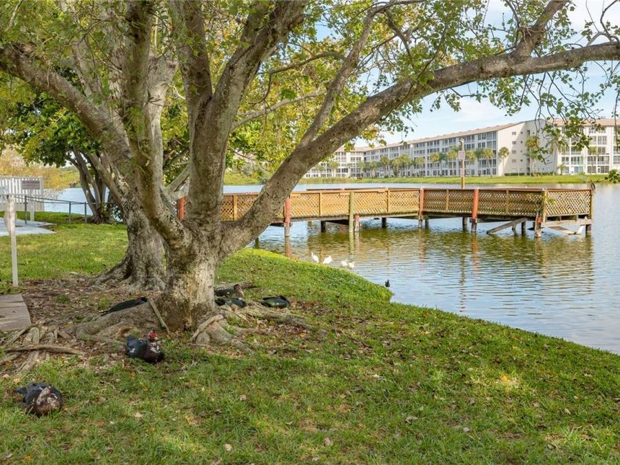 Property Image 60