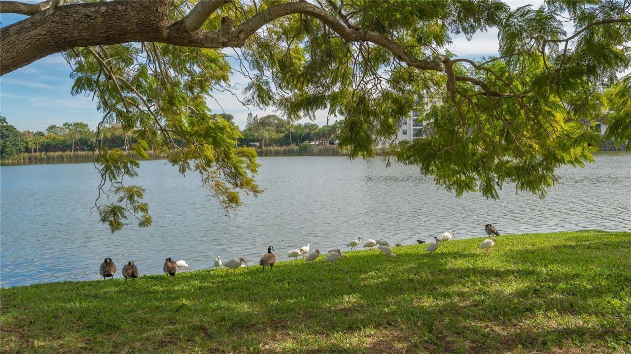 4130 Heron Way, Unit B-115, Bradenton, FL 34205 Photo