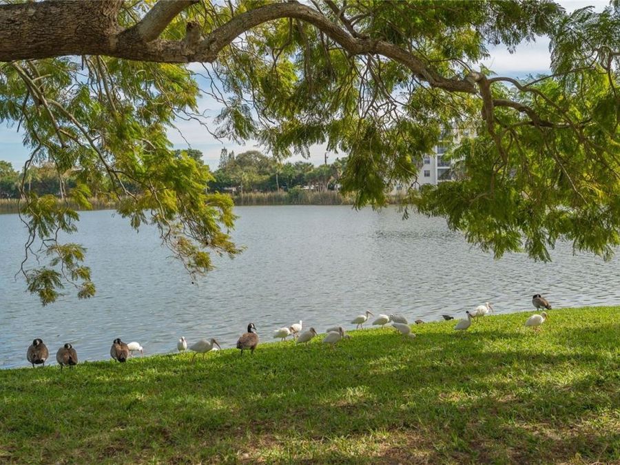 Property Image 62