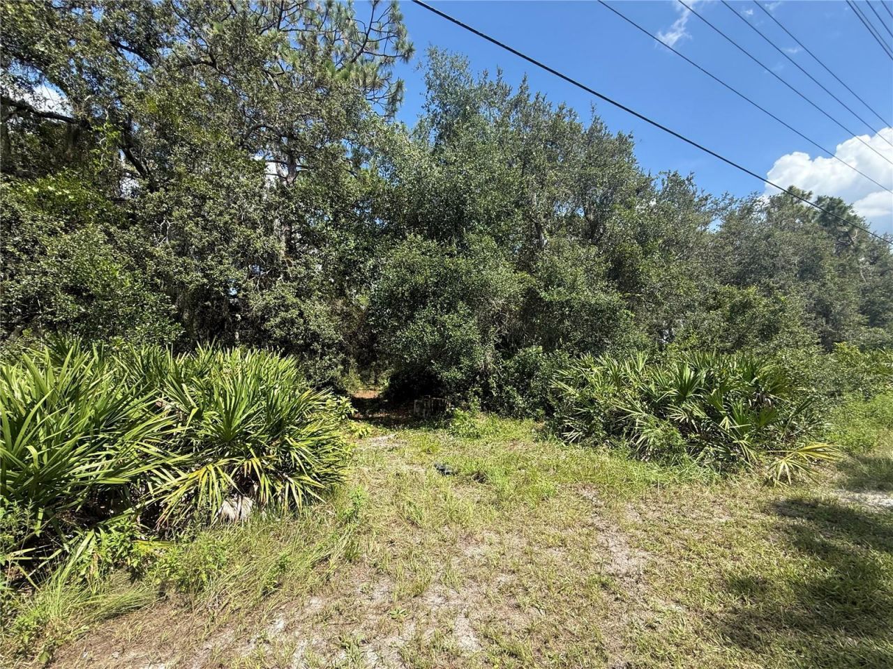 2521 Absher Road, Saint Cloud, FL 34771 Photo