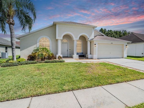 18143 PALM BREEZE DRIVE, TAMPA, FL 33647