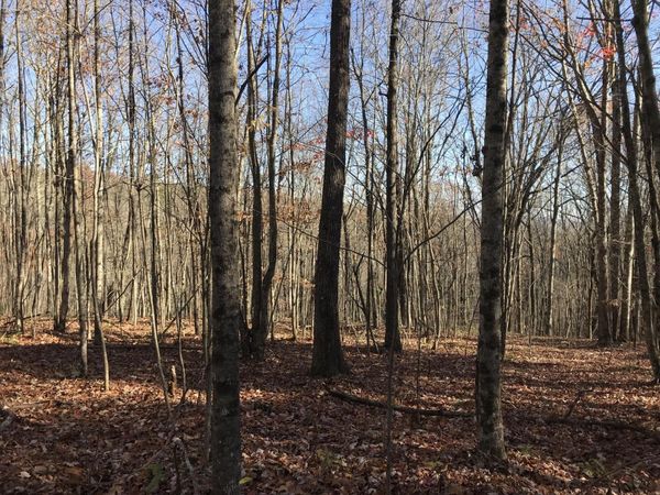 1 Hobbstown Road, Dunlap, TN 37327