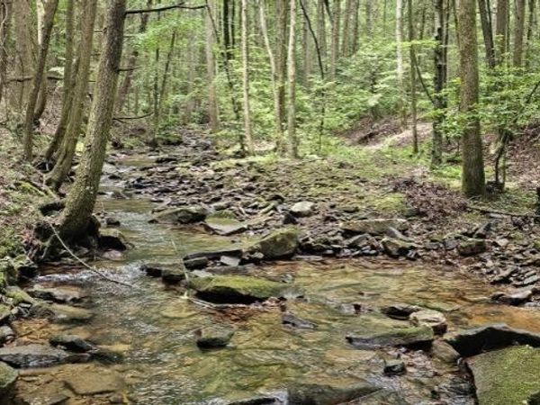 0 Oak Leaf Lane, Dunlap, TN 37327