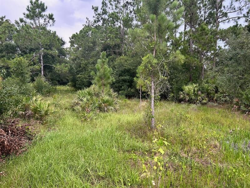 640 NE 144th Drive, Okeechobee, FL 34972 Photo