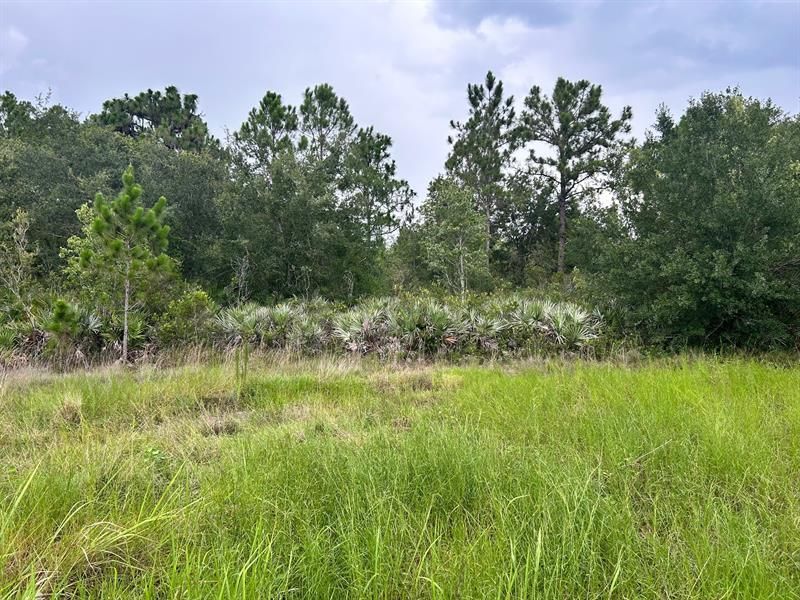 640 NE 144th Drive, Okeechobee, FL 34972 Photo