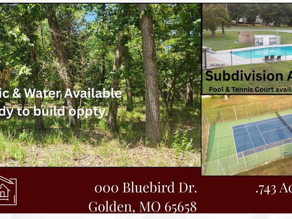 000 Bluebird Dr., Golden, MO 65658