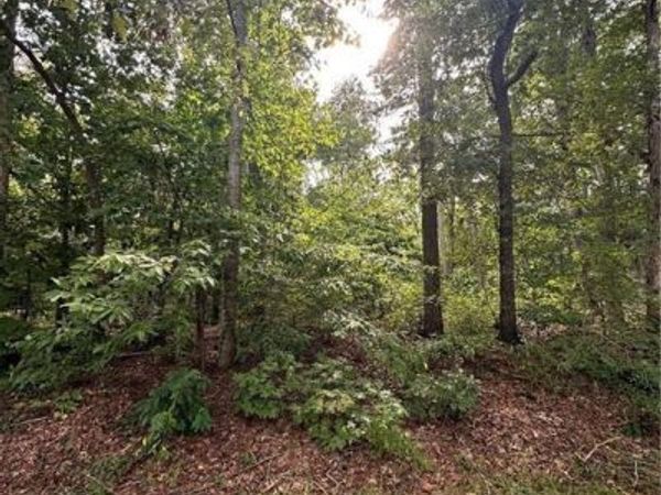 00 Sir Abbott Lane, Lexington, NC 27292