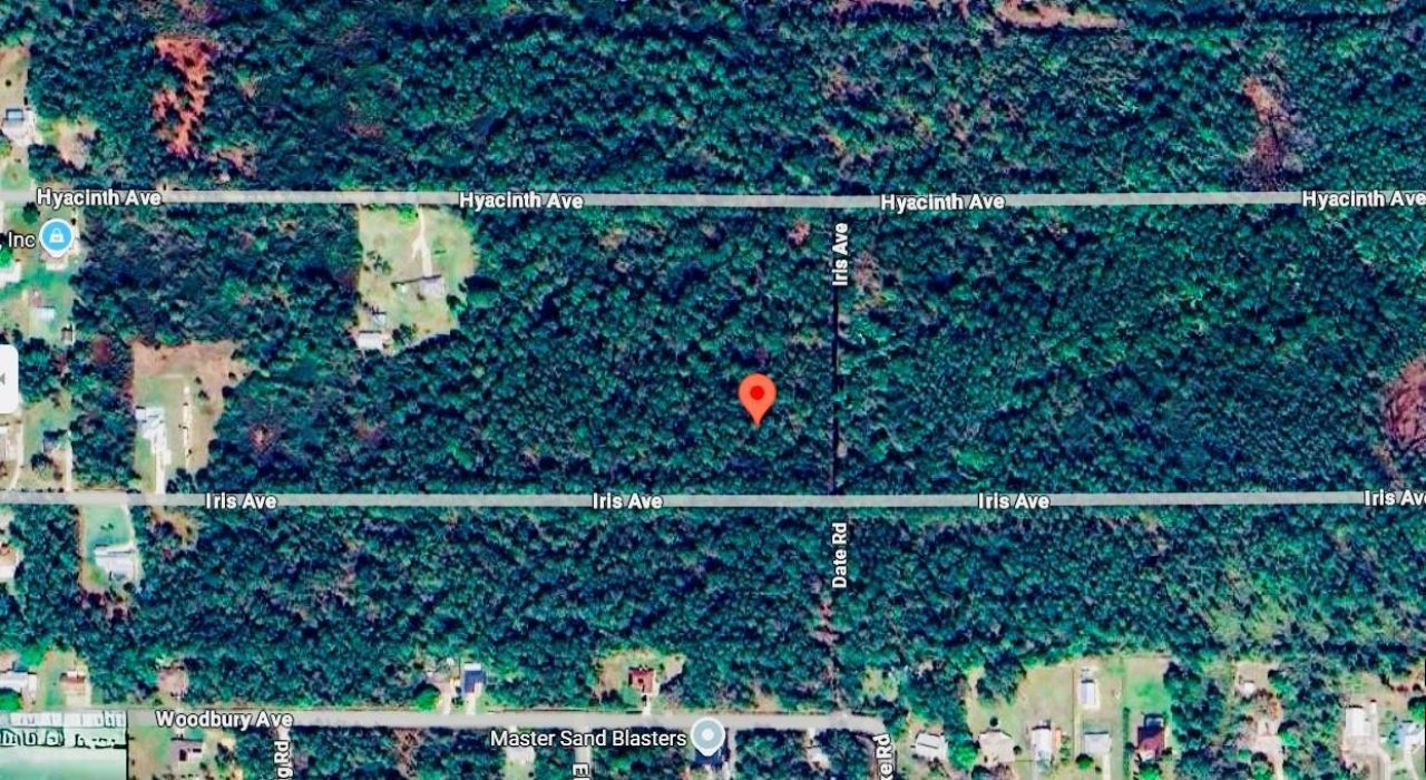1218 Iris Ave, Sebring, FL 33875 Photo