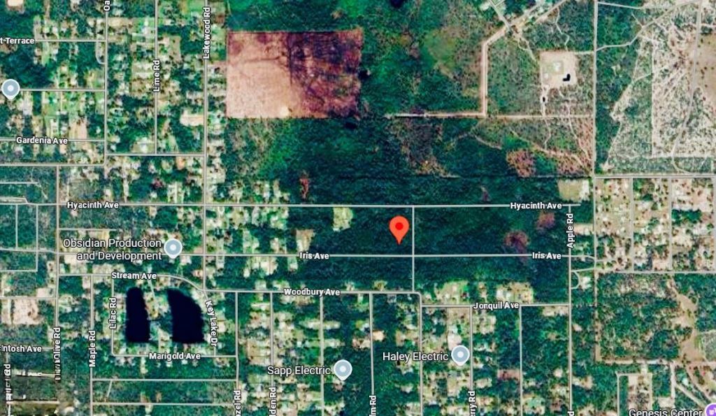 1218 Iris Ave, Sebring, FL 33875 Photo