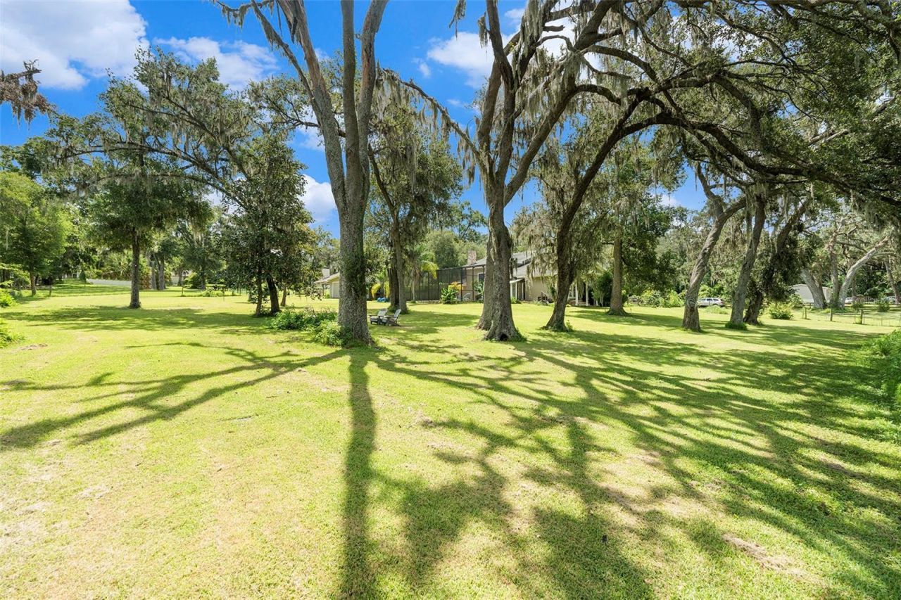 39127 Pretty Pond Road, Zephyrhills, FL 33540 Photo