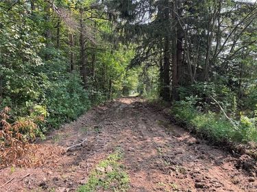 Allen Road, East Concord, NY 14055