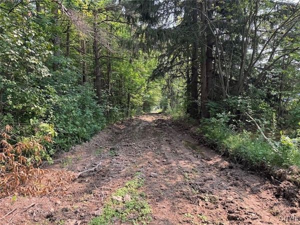 Allen Road, East Concord, NY 14055