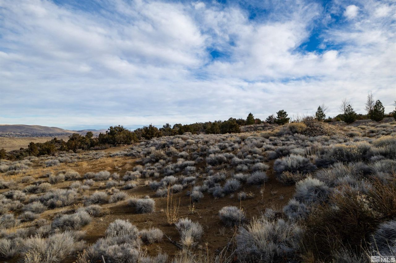4930 Woodchuck Circle, Lot #4, Reno, NV 89519 Photo