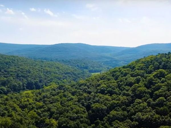 TBD NC 1800, Kingston, AR 72742