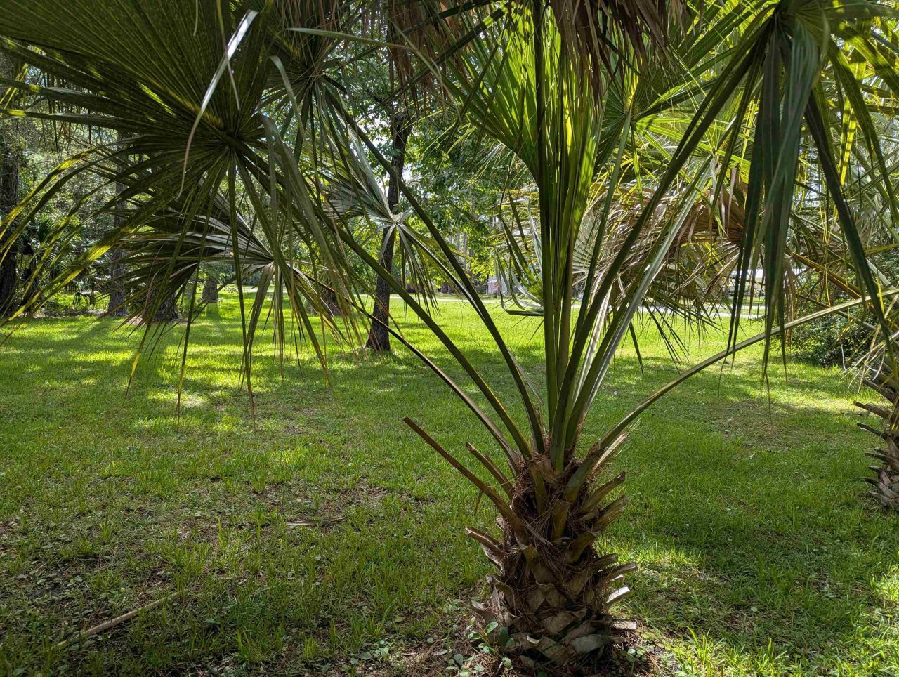 2538 Highway 98, Carrabelle, FL 32322 Photo