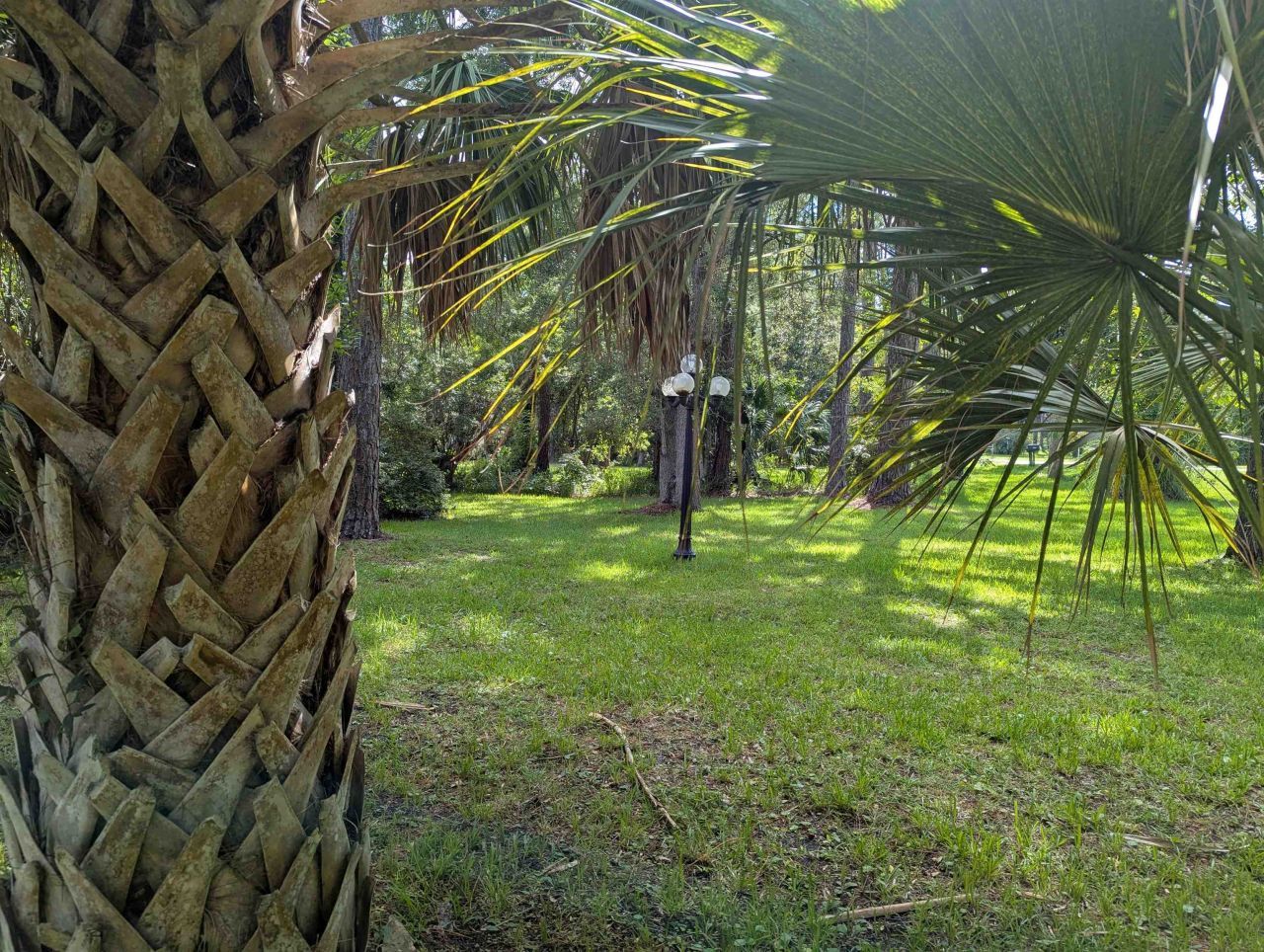 2538 Highway 98, Carrabelle, FL 32322 Photo