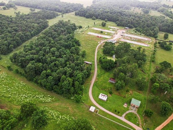 492 NW Cowan Avenue, Gentry, AR 72734