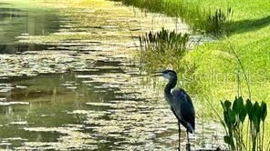 7236 Orchid Island Place, Bradenton, FL 34202 Photo