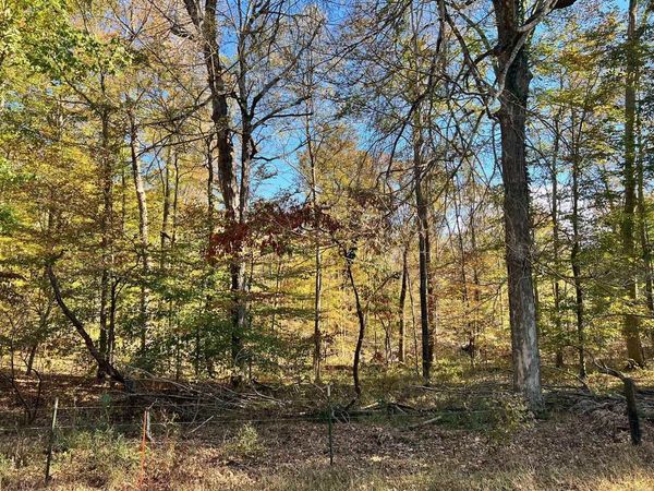 Lot 16 Gainesville Port Oliver Road, Scottsville, KY 42164