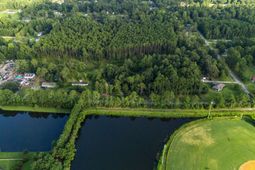 248 Marshall Acres Drive photo 4