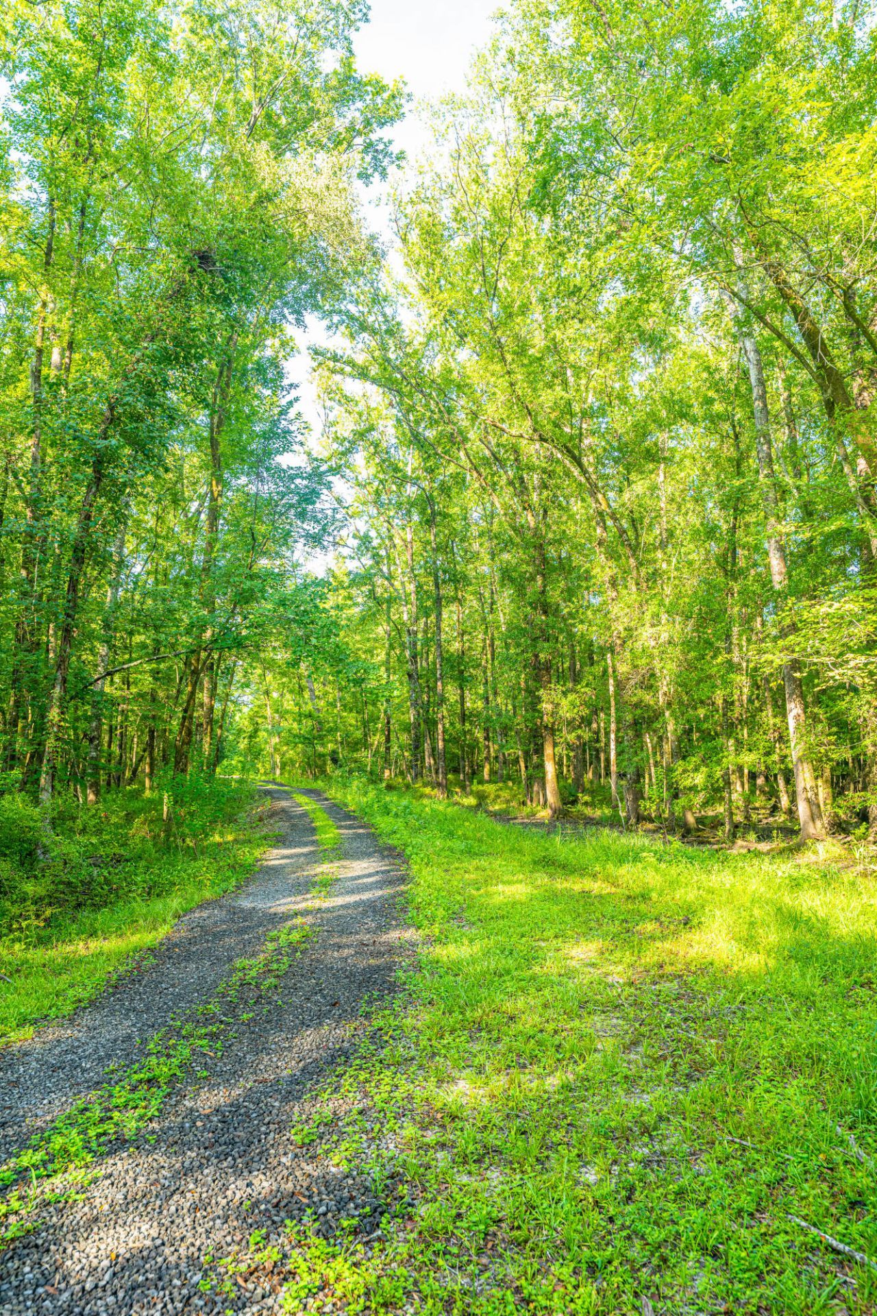 676 Public Lndg Lane Photo 128