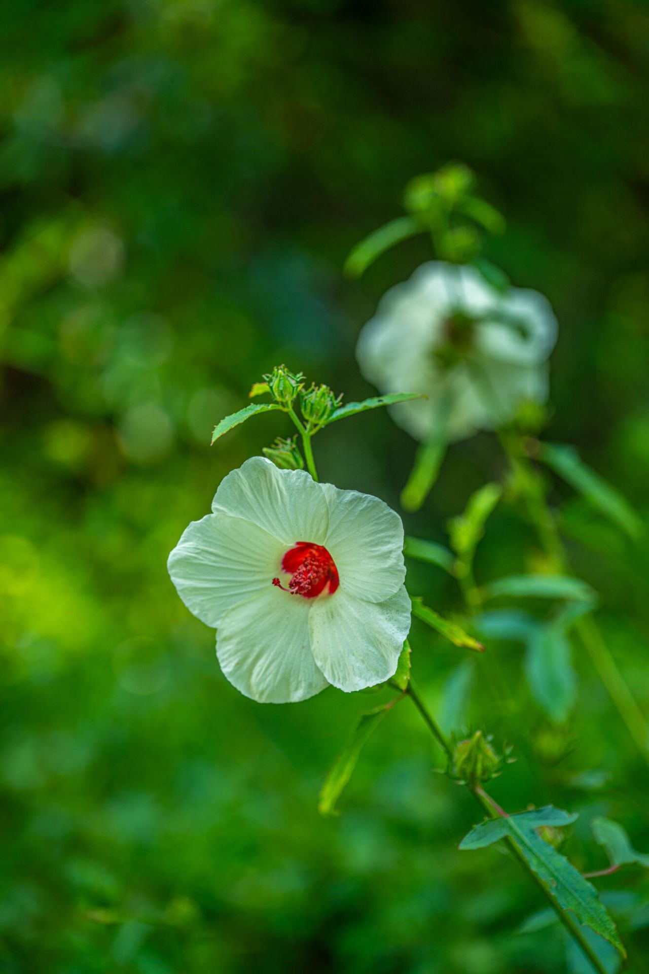 676 Public Lndg Lane Photo 129