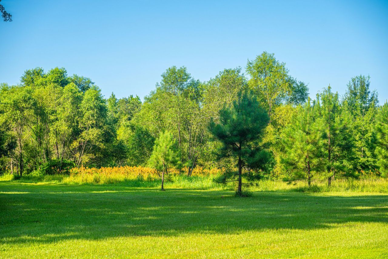 676 Public Lndg Lane Photo 134