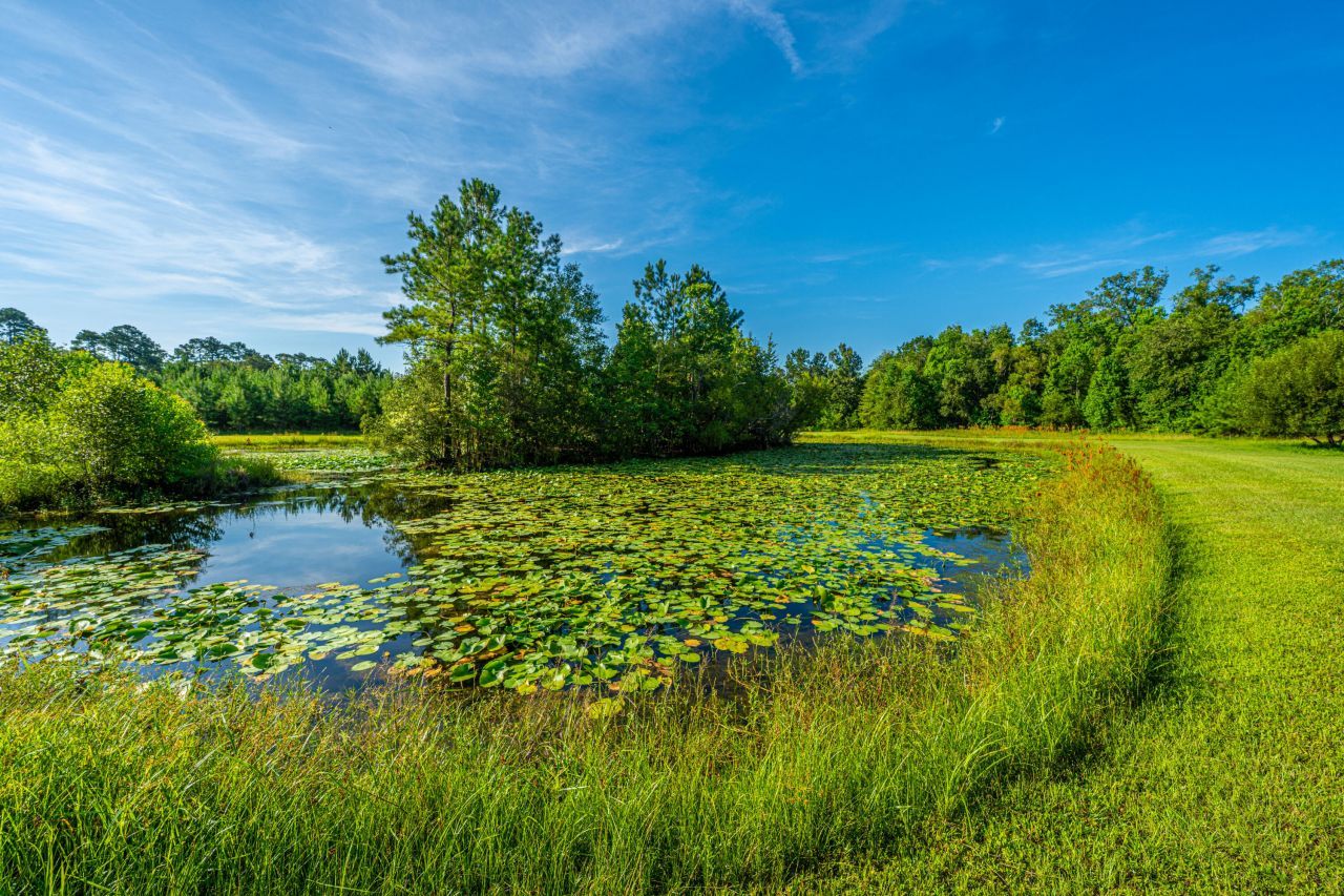 676 Public Lndg Lane Photo 138