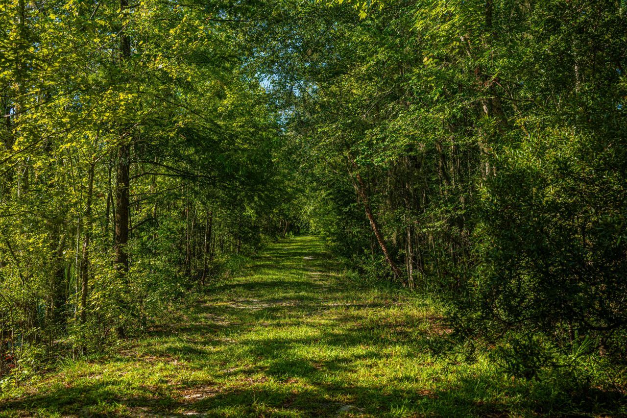 676 Public Lndg Lane Photo 139