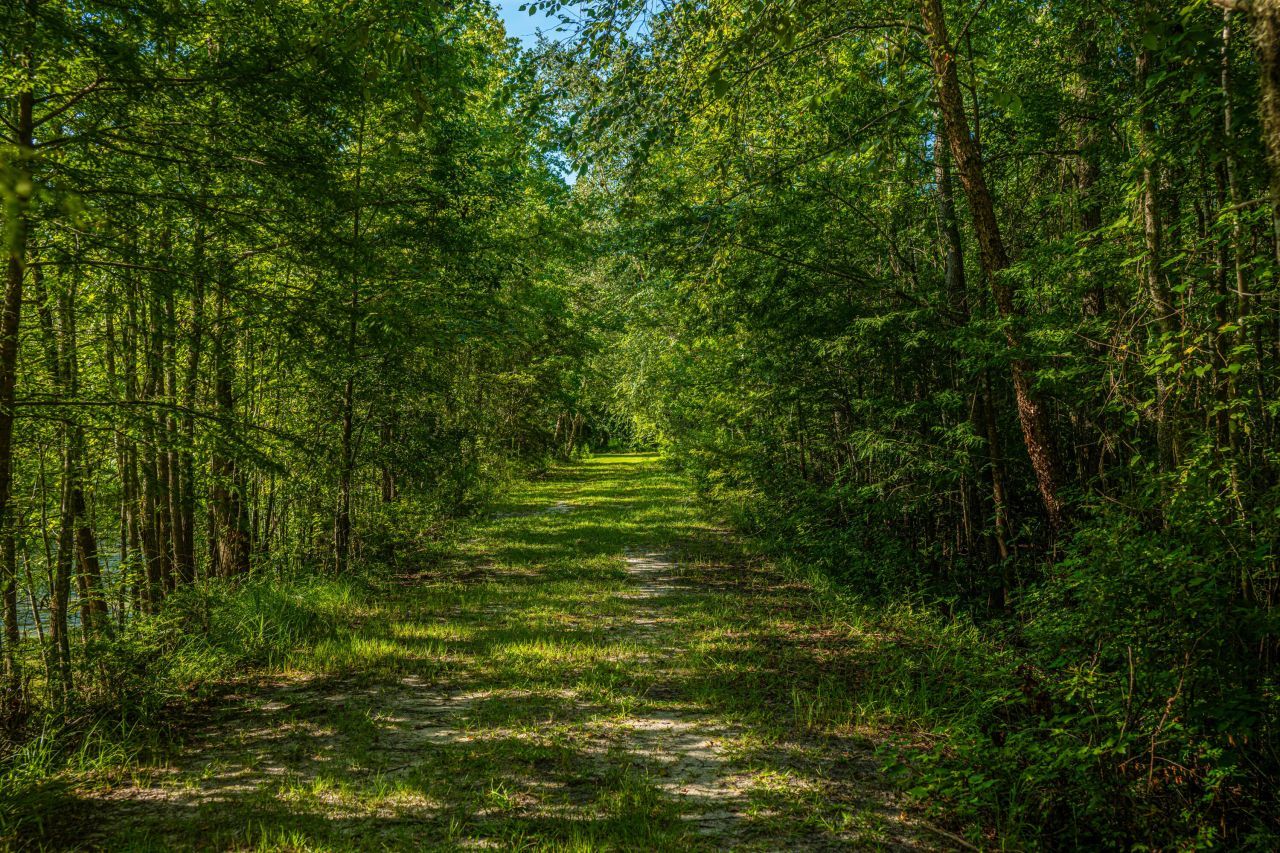 676 Public Lndg Lane Photo 140