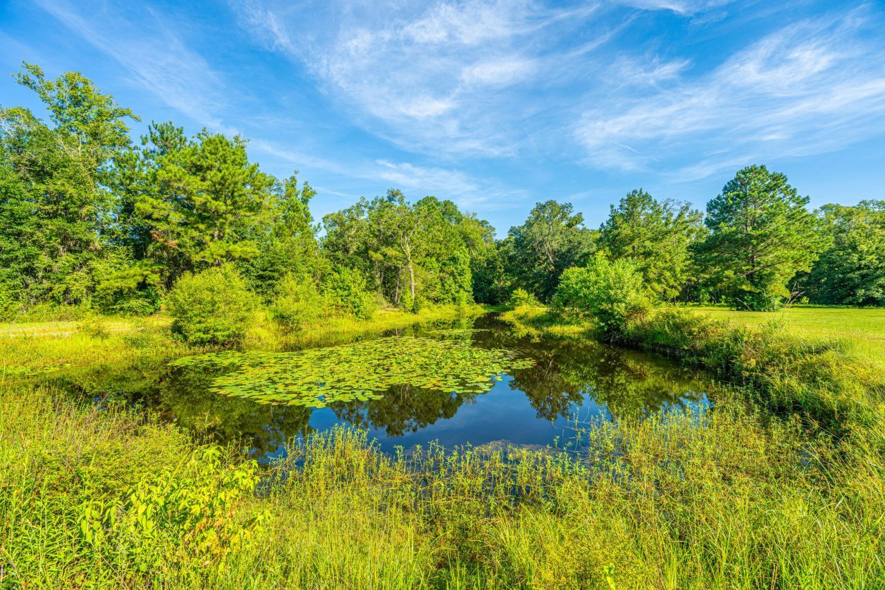 676 Public Lndg Lane Photo 154