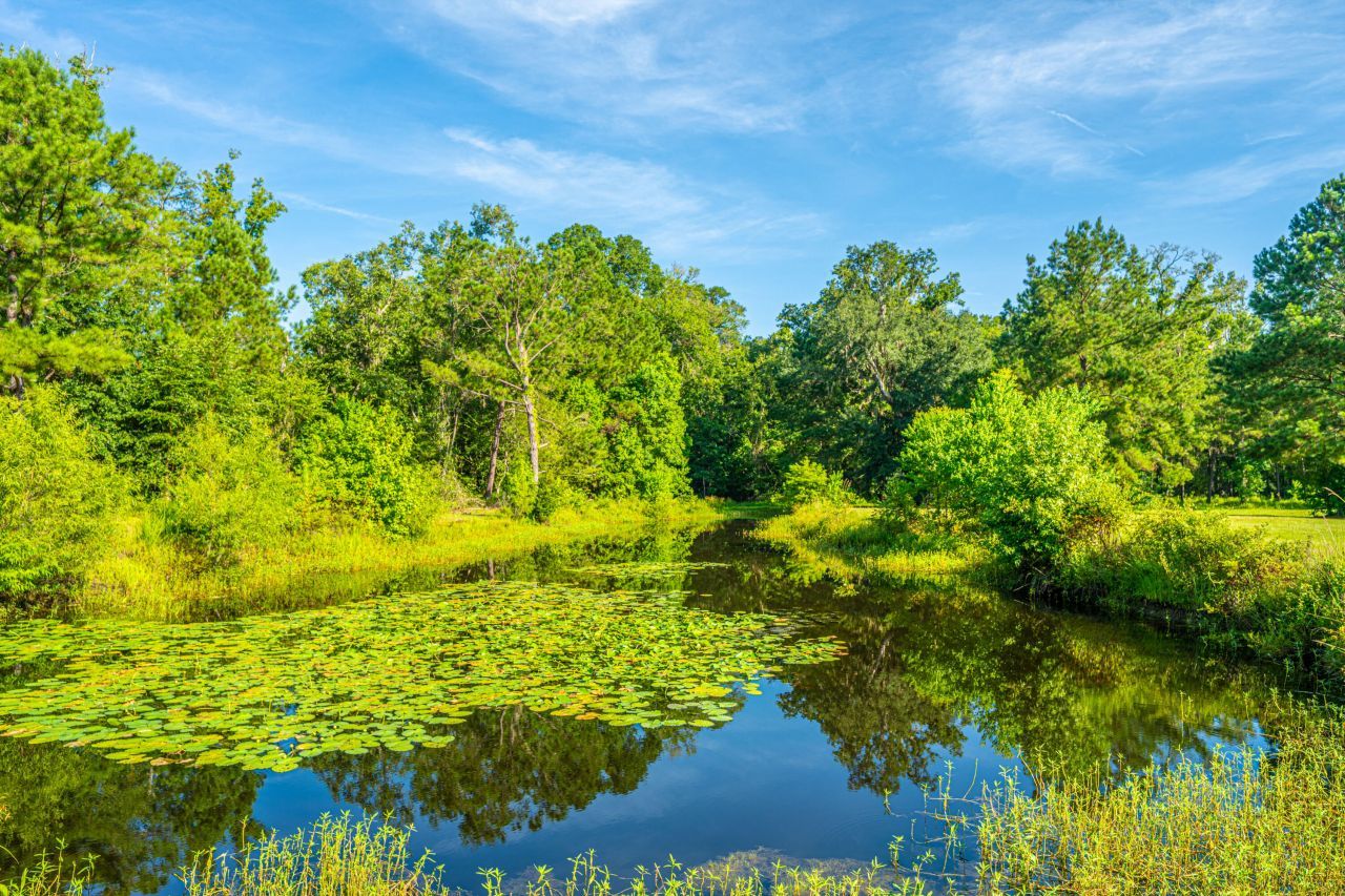 676 Public Lndg Lane Photo 155