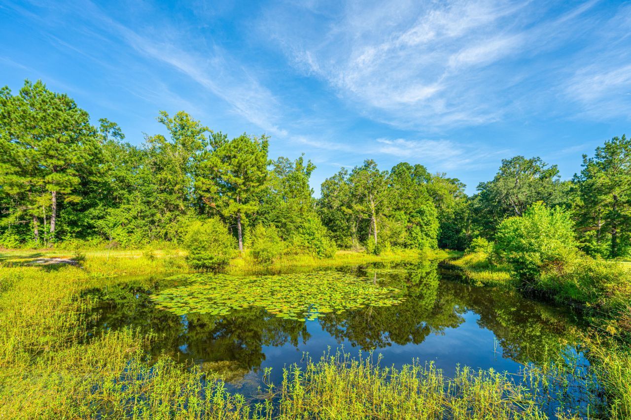 676 Public Lndg Lane Photo 156