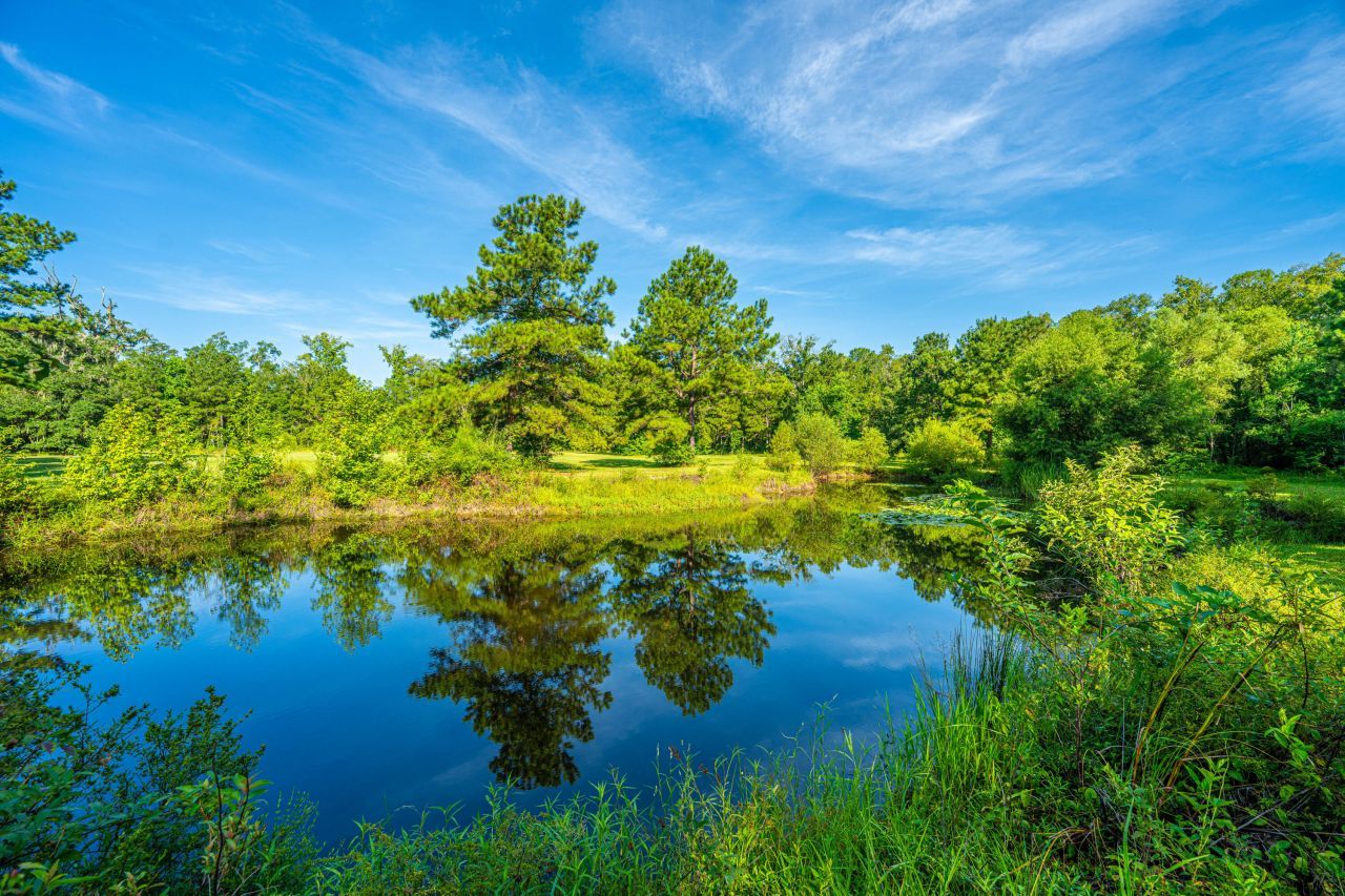 676 Public Lndg Lane Photo 157