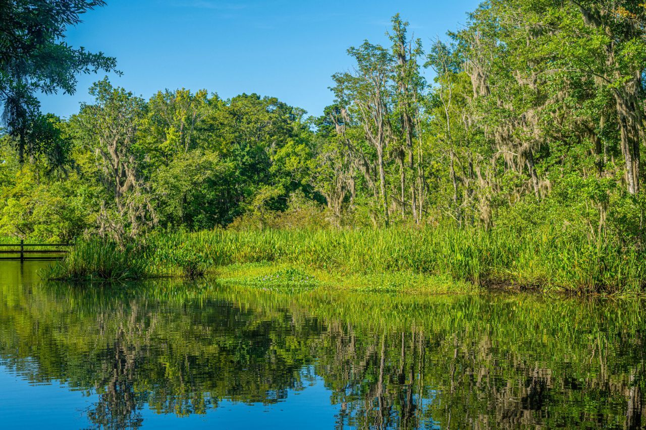 676 Public Lndg Lane Photo 159