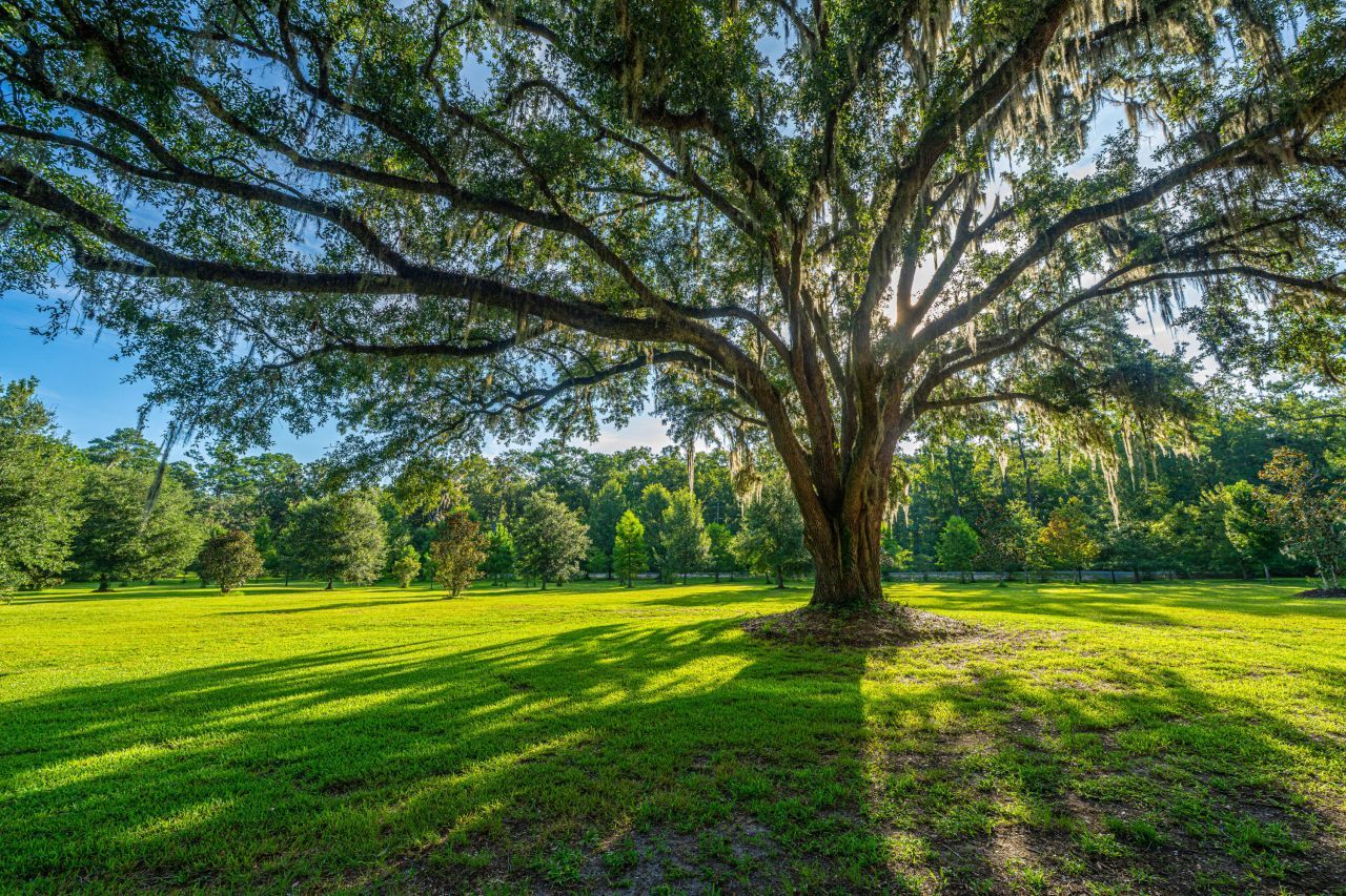 676 Public Lndg Lane Photo 57