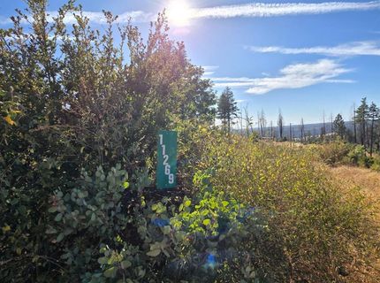 11269 Dawn, Oroville, CA 95965 Photo