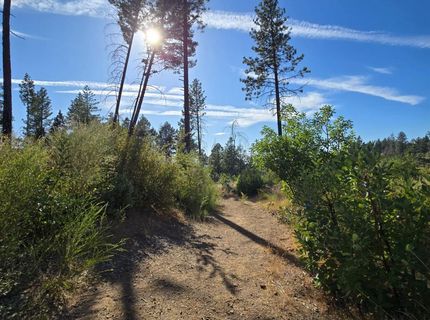 11269 Dawn, Oroville, CA 95965 Photo