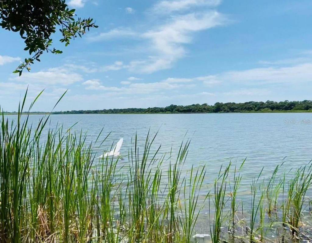 2044 21st Street S, Saint Petersburg, FL 33712 Photo