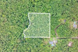 126 Moses Hall Road  photo 4