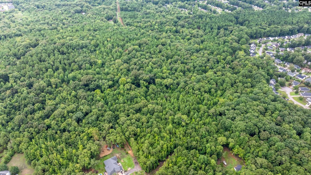 126 Moses Hall Road  Photo 7