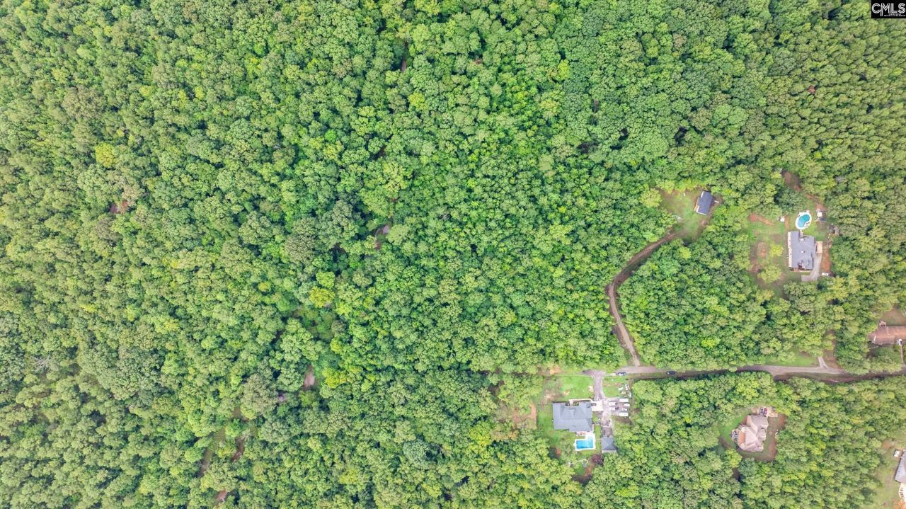 126 Moses Hall Road  Photo 9