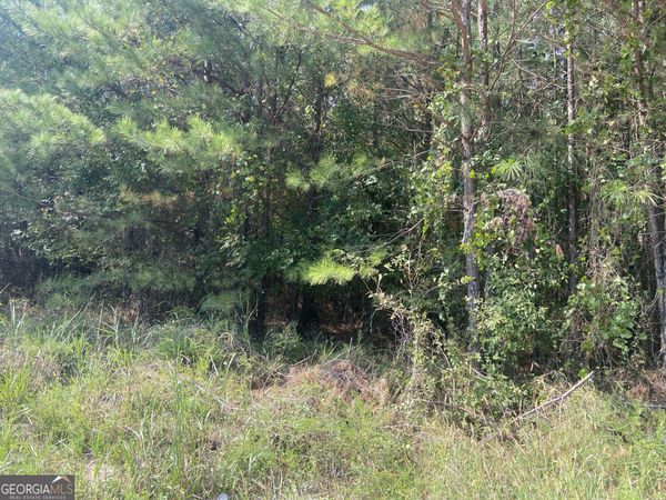 0 Saggus Road, Crawfordville, GA 30631