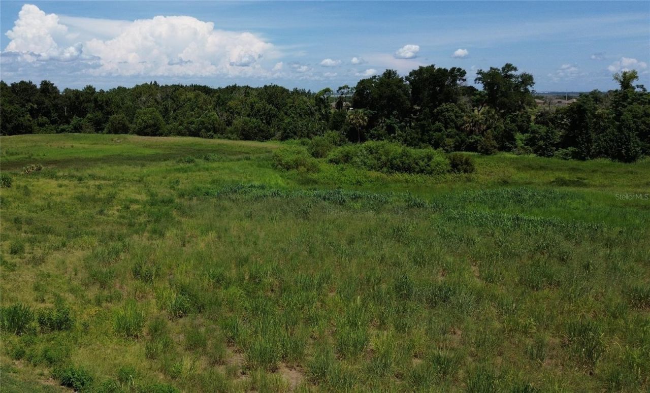Fountains West Boulevard, Ocoee, FL 34761 Photo