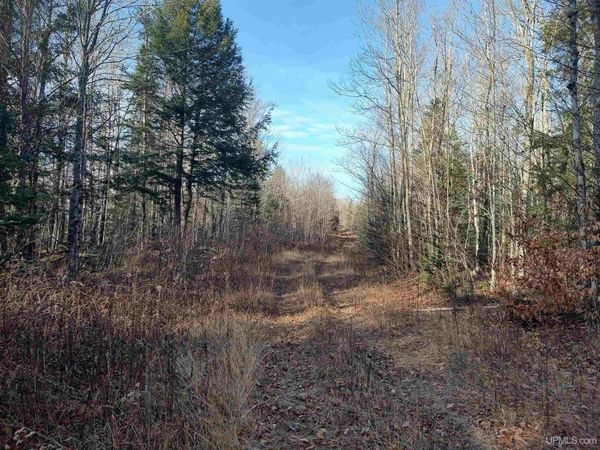 TBD Billie Helmer Road, Onota Twp, MI 49822