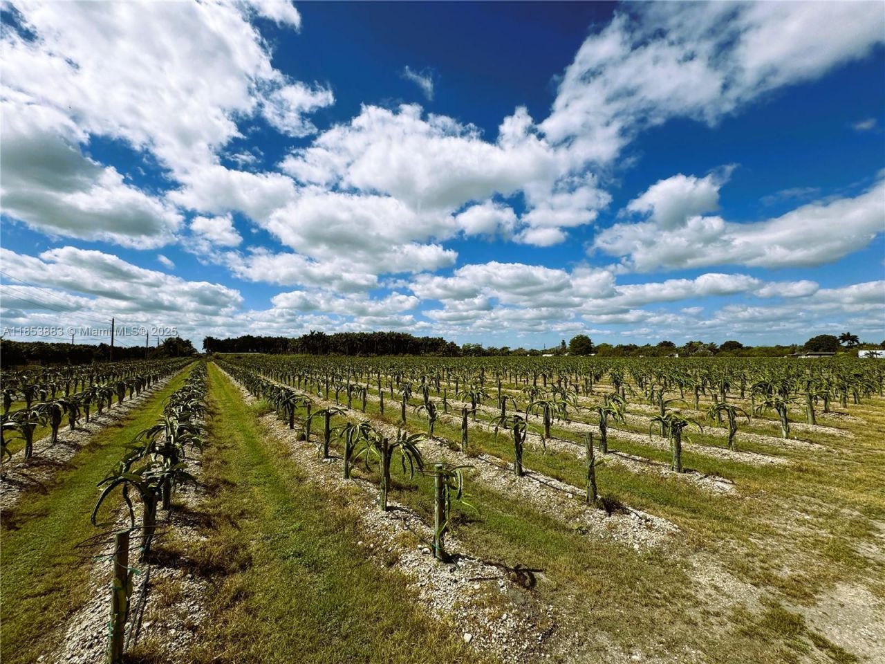 152xx SW 197th Ave, Miami, FL 33196 Photo