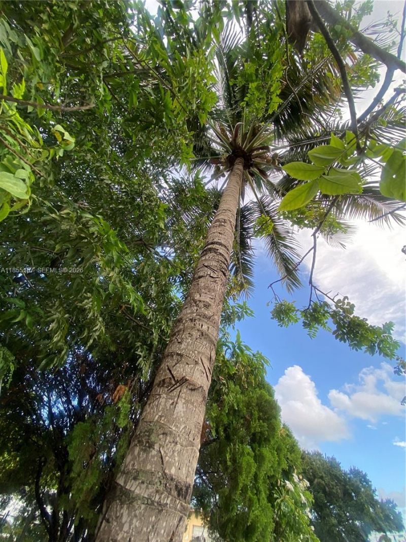 8355 NW 32nd Ave, Miami, FL 33147 Photo