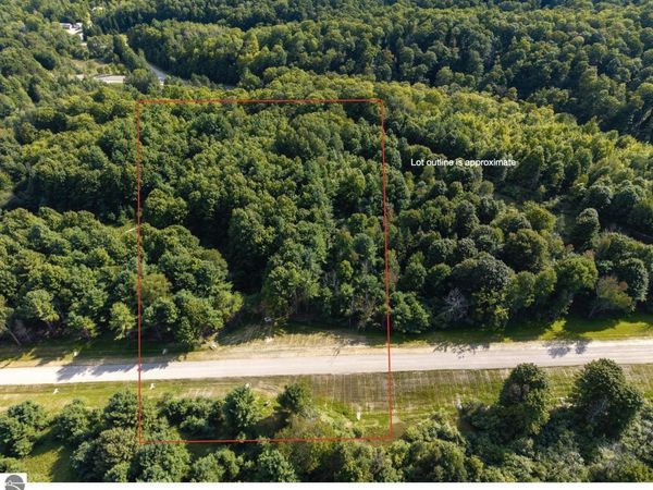 3 Bellinger Road E, Cedar, MI 49621