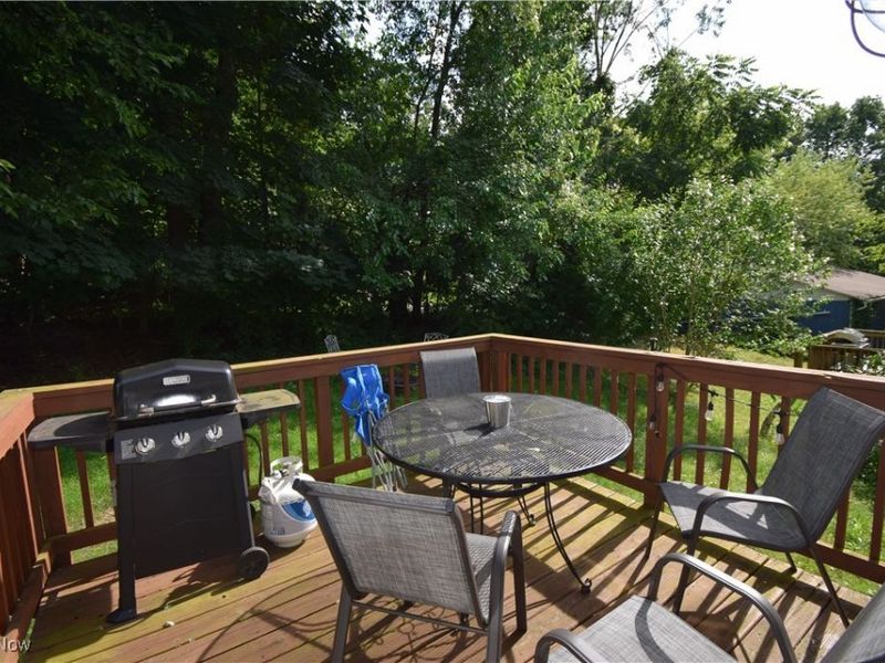 196 Olivet Avenue, Akron, OH 44319 Photo 25