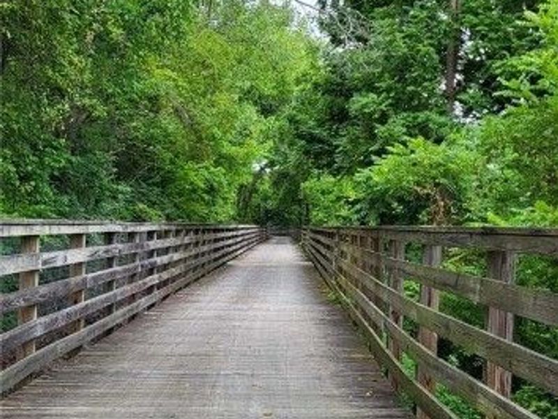 196 Olivet Avenue, Akron, OH 44319 Photo 34